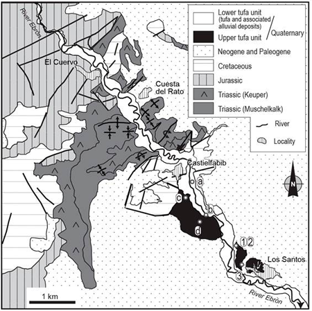 medium/medium-EGEOL-77-01-e137-gf2.png