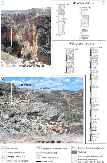 medium/medium-EGEOL-77-01-e137-gf3.png