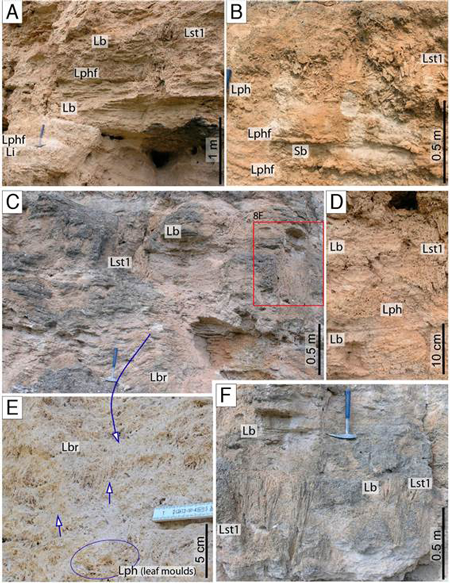 medium/medium-EGEOL-77-01-e137-gf8.png