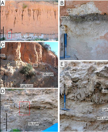 medium/medium-EGEOL-77-01-e137-gf7.png
