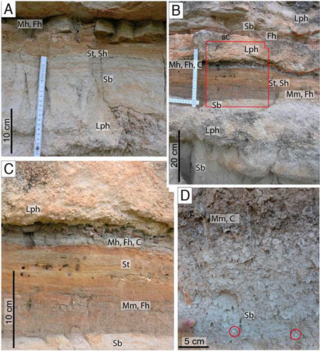 medium/medium-EGEOL-77-01-e137-gf10.png