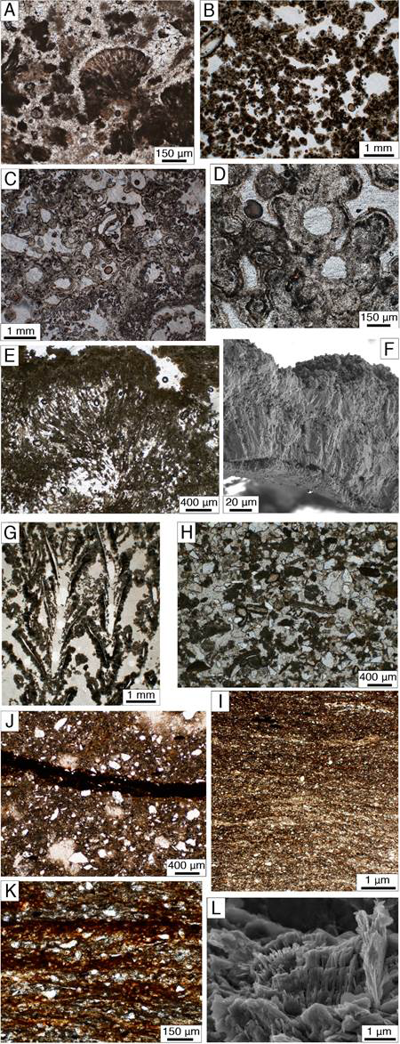 medium/medium-EGEOL-77-01-e137-gf11.png