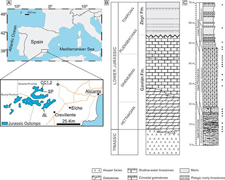 medium/medium-EGEOL-77-02-e141-gf2.png
