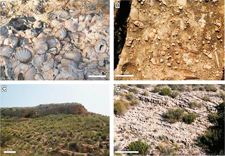 medium/medium-EGEOL-77-02-e141-gf3.png
