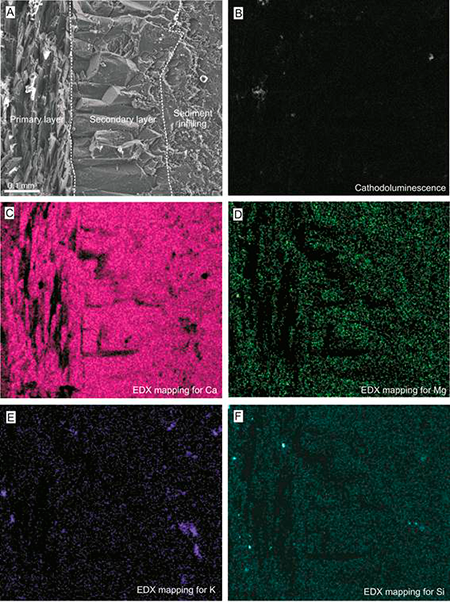 medium/medium-EGEOL-77-02-e141-gf5.png