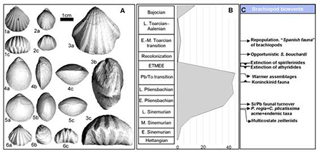 medium/medium-EGEOL-77-02-e141-gf6.png