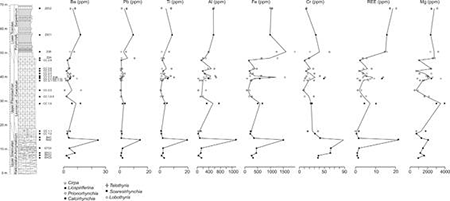 medium/medium-EGEOL-77-02-e141-gf8.png