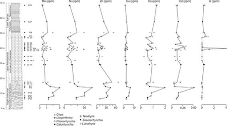 medium/medium-EGEOL-77-02-e141-gf9.png