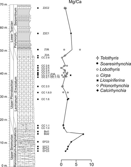 medium/medium-EGEOL-77-02-e141-gf10.png
