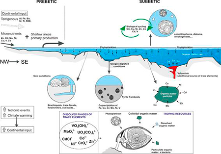 medium/medium-EGEOL-77-02-e141-gf14.png
