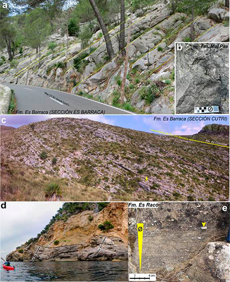 medium/medium-EGEOL-77-02-e142-gf3.png