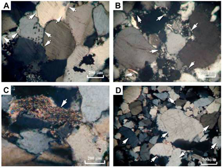 medium/medium-EGEOL-78-01-e144-gf4.png