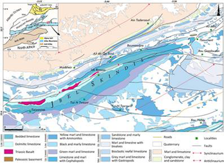 medium/medium-EGEOL-78-02-e147-gf1.png