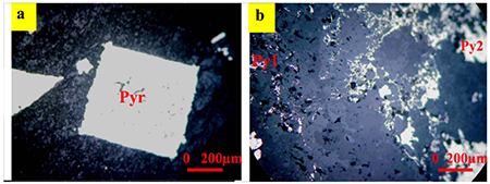 medium/medium-EGEOL-79-02-e158-gf9.png