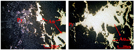 medium/medium-EGEOL-79-02-e158-gf16.png