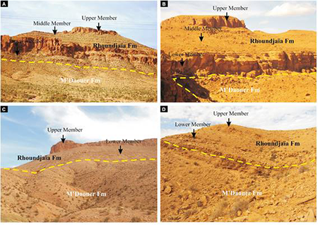 medium/medium-EGEOL-79-01-e152-gf4.png