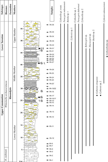 medium/medium-EGEOL-79-01-e152-gf7.png