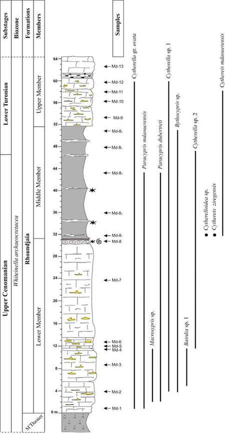 medium/medium-EGEOL-79-01-e152-gf8.png