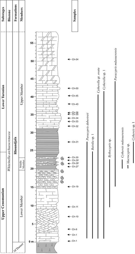 medium/medium-EGEOL-79-01-e152-gf9.png