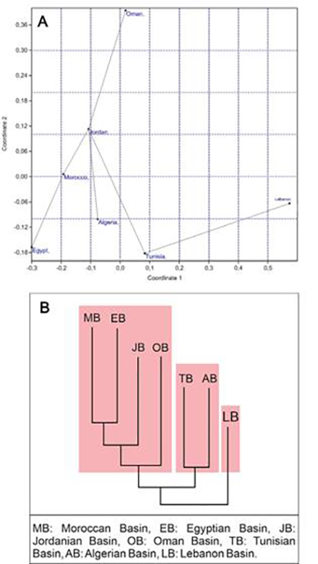medium/medium-EGEOL-79-01-e152-gf11.png