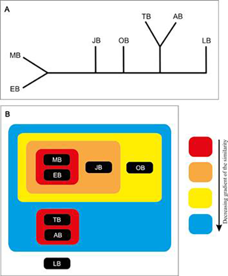 medium/medium-EGEOL-79-01-e152-gf12.png