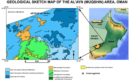 medium/medium-EGEOL-79-02-e153-gf3.png