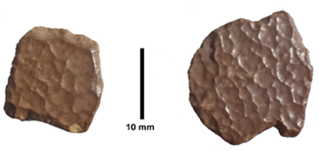 medium/medium-EGEOL-79-02-e153-gf8.png