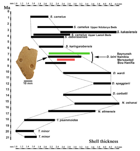 medium/medium-EGEOL-79-02-e153-gf9.png