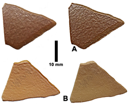 medium/medium-EGEOL-79-02-e153-gf10.png