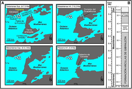 medium/medium-EGEOL-79-02-e154-gf1.png