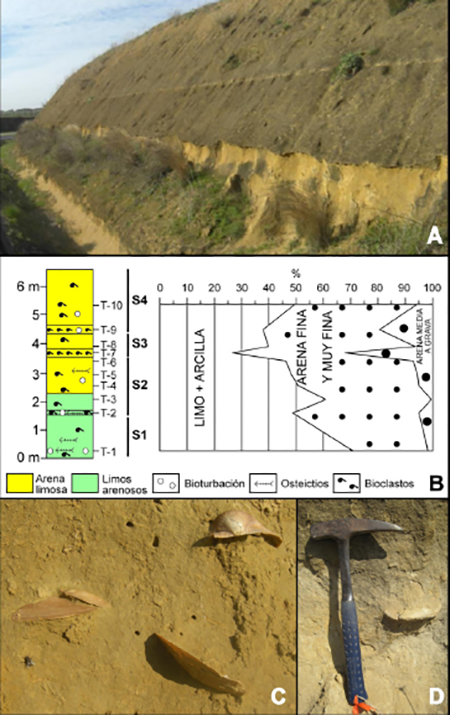medium/medium-EGEOL-79-02-e154-gf2.png