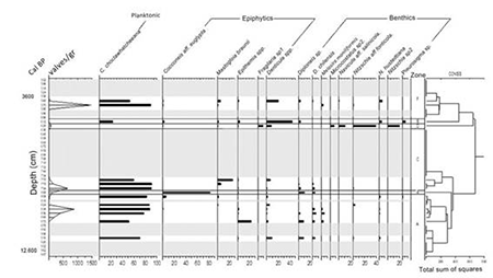 medium/medium-EGEOL-79-02-e157-gf3.png