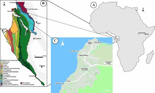 Mapa geológico detallado que muestra diferentes formaciones rocosas y áreas costeras en una región de África occidental con un enfoque en la costa y zonas marinas cercanas.

Descripción generada con IA