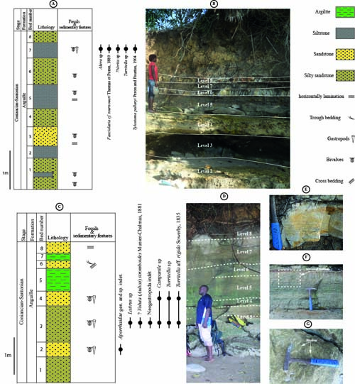 Se observan diagramas estratigráficos y fotografías de un afloramiento rocoso con niveles geológicos señalados y personas observando las formaciones sedimentarias en un entorno al aire libre.

Descripción generada con IA